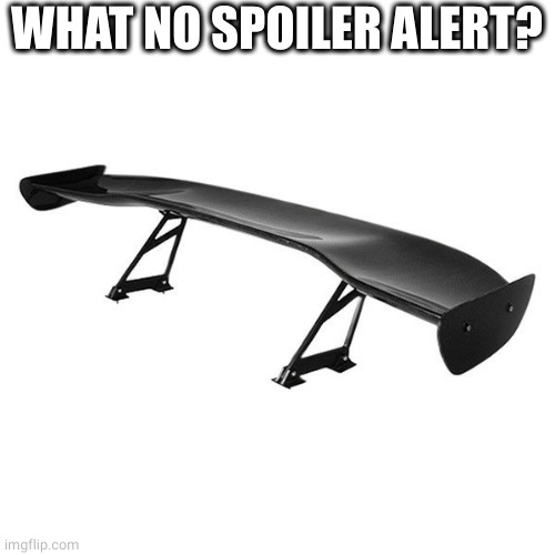 Spoiler | WHAT NO SPOILER ALERT? | image tagged in spoiler | made w/ Imgflip meme maker