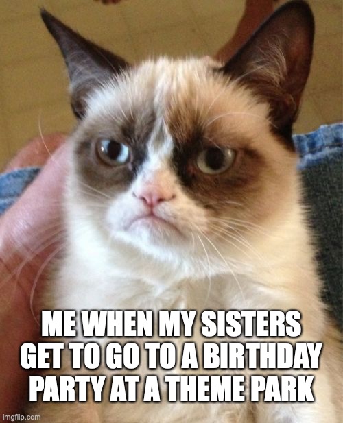 Grumpy Cat | ME WHEN MY SISTERS GET TO GO TO A BIRTHDAY PARTY AT A THEME PARK | image tagged in memes,grumpy cat,birthday parties,uninvited | made w/ Imgflip meme maker