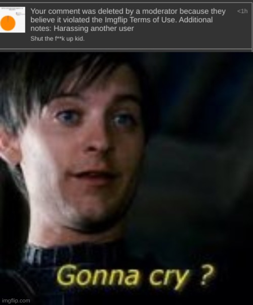 made w/ Imgflip meme maker