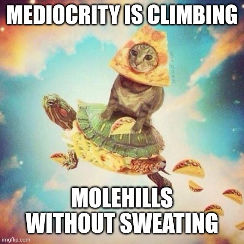 Aspire. | MEDIOCRITY IS CLIMBING; MOLEHILLS WITHOUT SWEATING | image tagged in space pizza cat turtle tacos,dream,success,life goals,life lessons | made w/ Imgflip meme maker