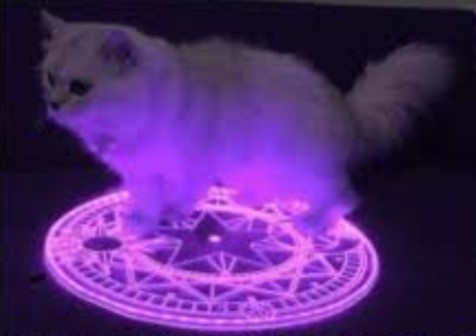 Cat Summoning Blank Meme Template