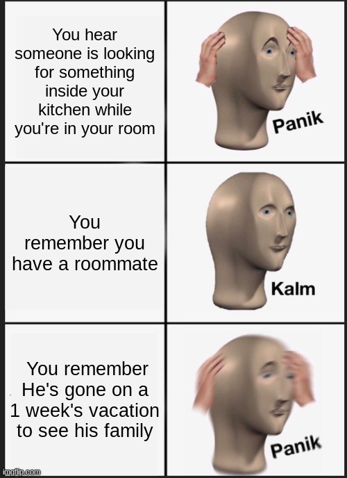 We have to be more careful | You hear someone is looking for something inside your kitchen while you're in your room; You remember you have a roommate; You remember He's gone on a 1 week's vacation to see his family | image tagged in memes,panik kalm panik | made w/ Imgflip meme maker