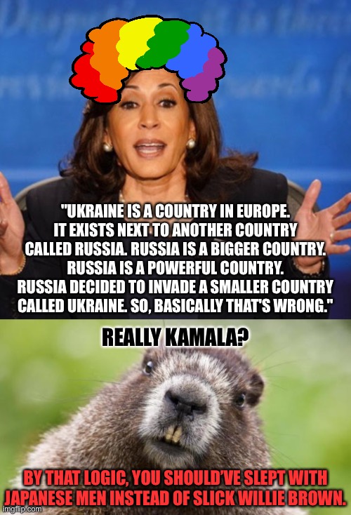 Either Kamala is screwing with us or she really is this stupid | "UKRAINE IS A COUNTRY IN EUROPE.
IT EXISTS NEXT TO ANOTHER COUNTRY
CALLED RUSSIA. RUSSIA IS A BIGGER COUNTRY.
RUSSIA IS A POWERFUL COUNTRY.
RUSSIA DECIDED TO INVADE A SMALLER COUNTRY
CALLED UKRAINE. SO, BASICALLY THAT'S WRONG."; REALLY KAMALA? BY THAT LOGIC, YOU SHOULD’VE SLEPT WITH JAPANESE MEN INSTEAD OF SLICK WILLIE BROWN. | image tagged in kamala harris,mr beaver,memes,willie brown,ukraine,russia | made w/ Imgflip meme maker
