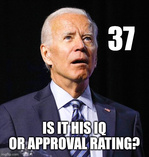 Joe Biden | 37; IS IT HIS IQ OR APPROVAL RATING? | image tagged in joe biden | made w/ Imgflip meme maker