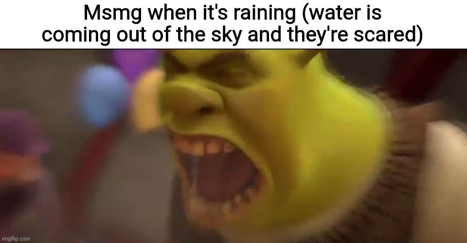 Shrek Screaming | Msmg when it's raining (water is coming out of the sky and they're scared) | image tagged in shrek screaming | made w/ Imgflip meme maker