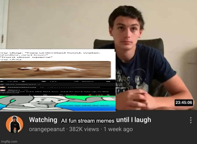 watching until i laugh | All fun stream memes | image tagged in watching until i laugh,fun stream | made w/ Imgflip meme maker