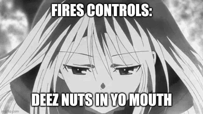 Deez | FIRES CONTROLS:; DEEZ NUTS IN YO MOUTH | image tagged in unfunny | made w/ Imgflip meme maker
