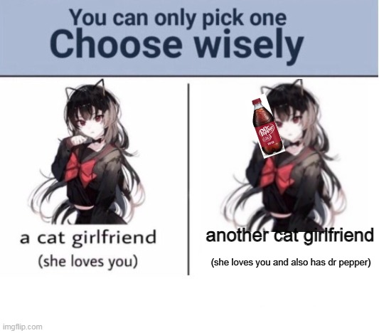 pick one |  another cat girlfriend; (she loves you and also has dr pepper) | image tagged in choose wisely | made w/ Imgflip meme maker
