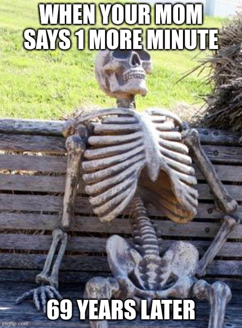 Waiting Skeleton Meme | WHEN YOUR MOM SAYS 1 MORE MINUTE; 69 YEARS LATER | image tagged in memes,waiting skeleton | made w/ Imgflip meme maker