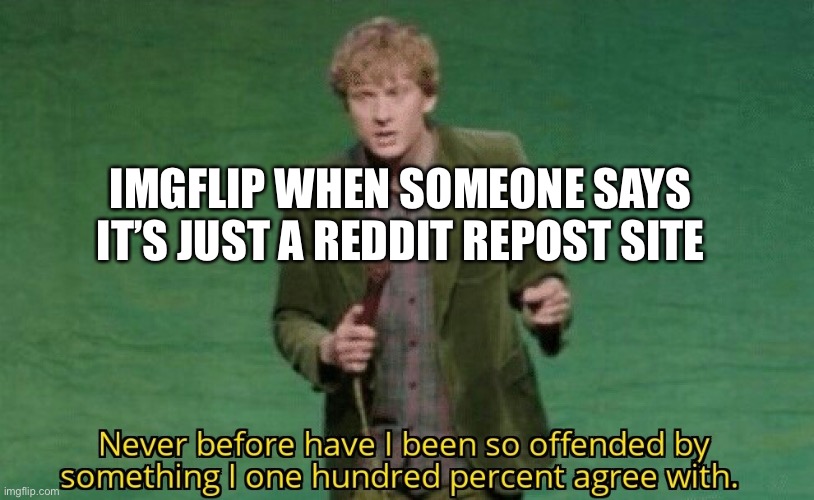 Never before have I been so offended by something I one hundred | IMGFLIP WHEN SOMEONE SAYS IT’S JUST A REDDIT REPOST SITE | image tagged in never before have i been so offended by something i one hundred | made w/ Imgflip meme maker
