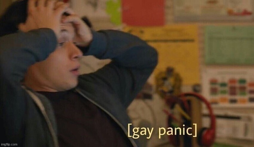 Gay panic | image tagged in gay panic | made w/ Imgflip meme maker