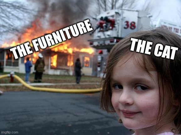 Disaster Girl Meme | THE CAT; THE FURNITURE | image tagged in memes,disaster girl | made w/ Imgflip meme maker