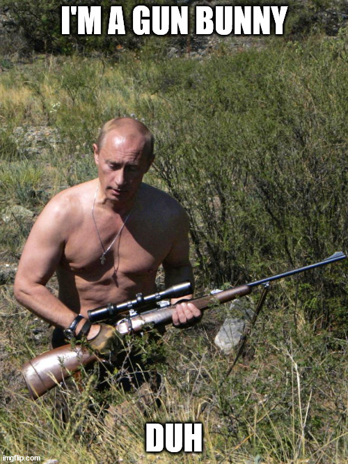 apologies to gun bunnies and Mean Girls fans | I'M A GUN BUNNY; DUH | image tagged in vladimir putin,putin,mean girls | made w/ Imgflip meme maker