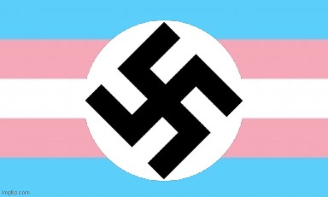 someone post this in LGBTQ stream lol with the caption LGBTQ stream in a nutshell | made w/ Imgflip meme maker