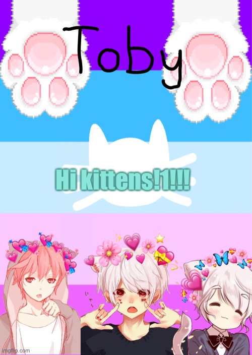 Hewo :3 | Hi kittens!1!!! | image tagged in toby's template | made w/ Imgflip meme maker