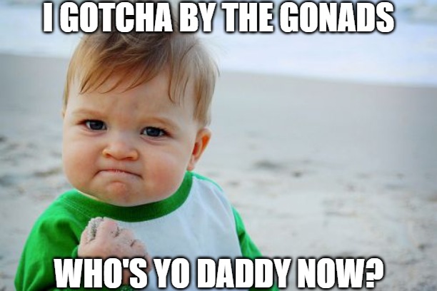 SQEEL LIKE A PIG | I GOTCHA BY THE GONADS; WHO'S YO DADDY NOW? | image tagged in memes,success kid original | made w/ Imgflip meme maker