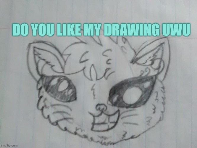 I worked hard on it | DO YOU LIKE MY DRAWING UWU | image tagged in cat | made w/ Imgflip meme maker