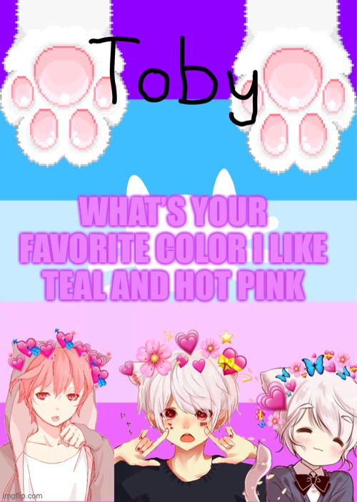 I also like yellow | WHAT’S YOUR FAVORITE COLOR I LIKE TEAL AND HOT PINK | image tagged in toby's template | made w/ Imgflip meme maker