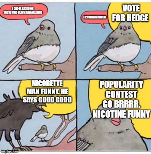 annoyed bird | VOTE FOR HEDGE; I CHOSE BASED ON THOSE WHO TEACH AND ARE KIND; ITS UNFAIR GIVEN; NICORETTE MAN FUNNY. HE SAYS GOOD GOOD; POPULARITY CONTEST GO BRRRR. NICOTINE FUNNY | image tagged in annoyed bird | made w/ Imgflip meme maker