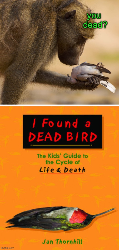 Hey little buddy, I got you a new book today. | you 
dead? | image tagged in funny memes,dark humor,death | made w/ Imgflip meme maker