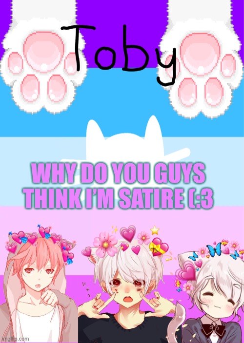 Uwu why | WHY DO YOU GUYS THINK I’M SATIRE (:3 | image tagged in toby's template | made w/ Imgflip meme maker