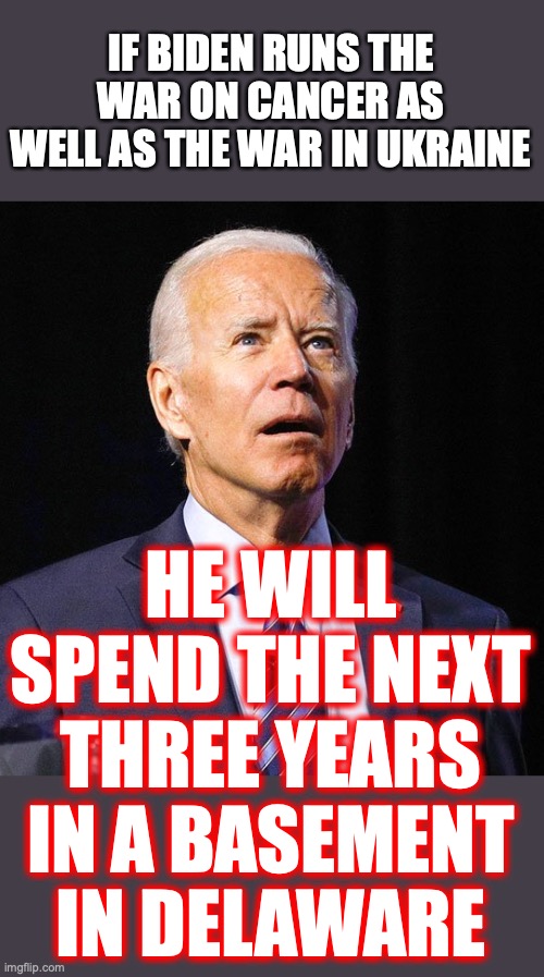 Sir Robinette ran away. He tucked tail and ran. He ran and he ran and he ran... | IF BIDEN RUNS THE WAR ON CANCER AS WELL AS THE WAR IN UKRAINE; HE WILL SPEND THE NEXT THREE YEARS IN A BASEMENT IN DELAWARE | image tagged in 2022,biden,delaware,coward,liberals,incompetent | made w/ Imgflip meme maker