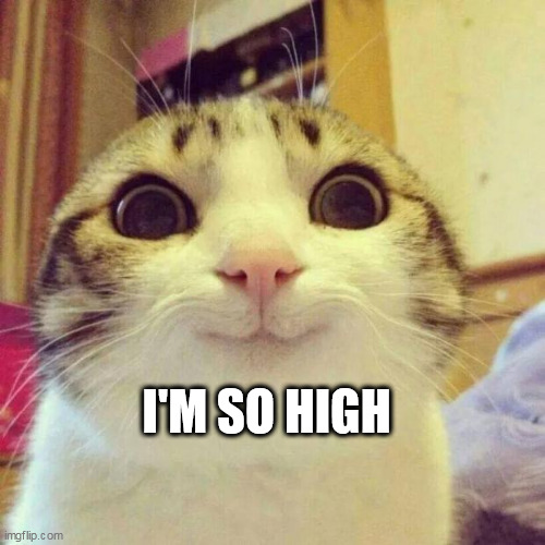 Smiling Cat | I'M SO HIGH | image tagged in memes,smiling cat | made w/ Imgflip meme maker