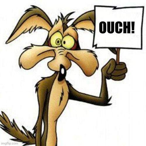 Wile E. Coyote with sign | OUCH! | image tagged in wile e coyote with sign | made w/ Imgflip meme maker