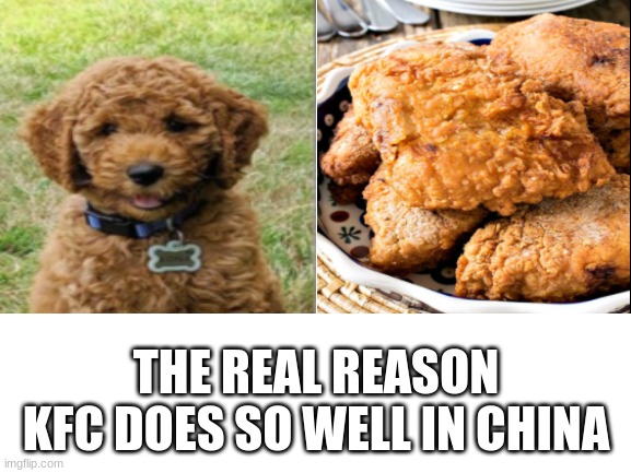 It all makes sense now | THE REAL REASON KFC DOES SO WELL IN CHINA | image tagged in blank white template,china,kfc,dogs | made w/ Imgflip meme maker