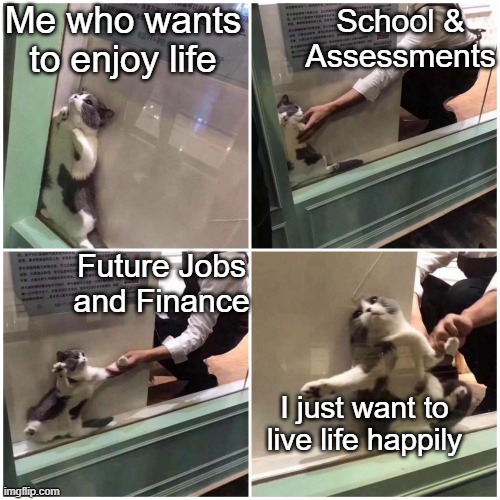 My Life in a nutshell | Me who wants to enjoy life; School & Assessments; Future Jobs and Finance; I just want to live life happily | image tagged in drag cat | made w/ Imgflip meme maker