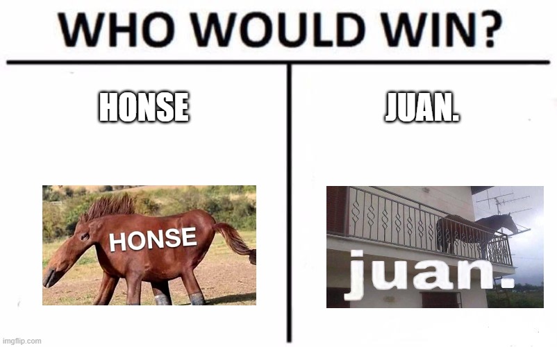 Who would you think win | HONSE; JUAN. | image tagged in memes,who would win,juan,horse | made w/ Imgflip meme maker