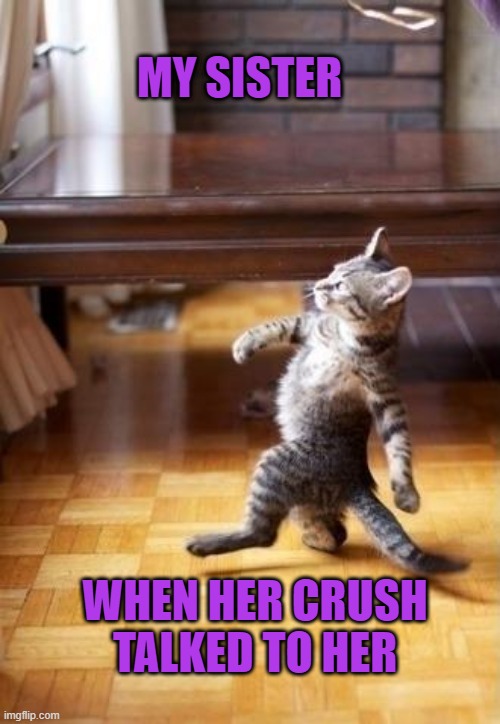 Cool Cat Stroll Meme | MY SISTER; WHEN HER CRUSH TALKED TO HER | image tagged in memes,cool cat stroll,my sister talking to her crush,crush,cat,cool | made w/ Imgflip meme maker