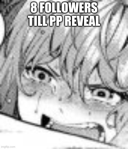 8 FOLLOWERS TILL PP REVEAL | made w/ Imgflip meme maker