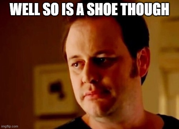 Well she's a guy so | WELL SO IS A SHOE THOUGH | image tagged in well she's a guy so | made w/ Imgflip meme maker