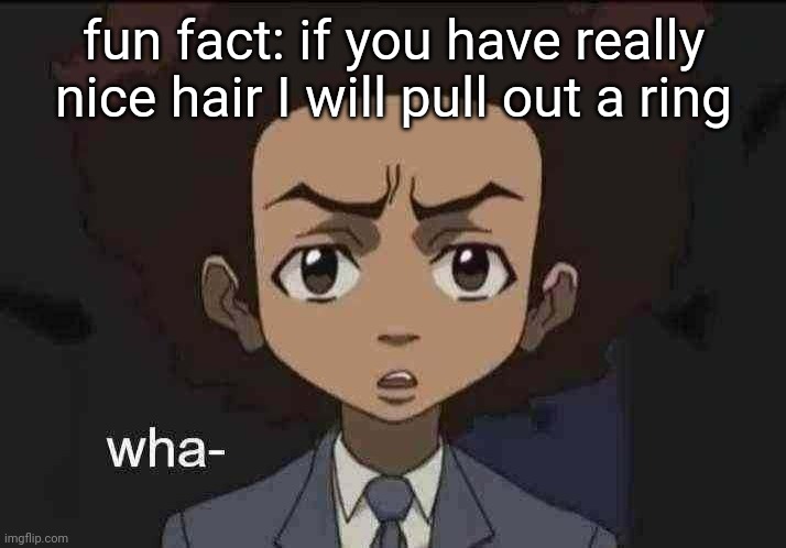 IDK WHAT IT IS BUT PPL W ATTRACTIVE HAIR- | fun fact: if you have really nice hair I will pull out a ring | image tagged in what huey | made w/ Imgflip meme maker