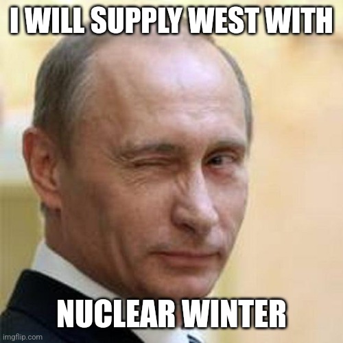 Putin Winking | I WILL SUPPLY WEST WITH NUCLEAR WINTER | image tagged in putin winking | made w/ Imgflip meme maker