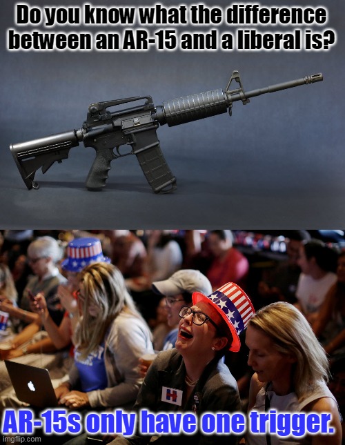 Distracting myself from the Mumbler In Chief's March 1st LieFest. | Do you know what the difference between an AR-15 and a liberal is? AR-15s only have one trigger. | image tagged in ar-15,crying democrats,triggered liberal,2nd amendment | made w/ Imgflip meme maker