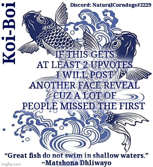IF THIS GETS AT LEAST 2 UPVOTES I WILL POST ANOTHER FACE REVEAL CUZ A LOT OF PEOPLE MISSED THE FIRST | image tagged in koi-boi's fish template | made w/ Imgflip meme maker