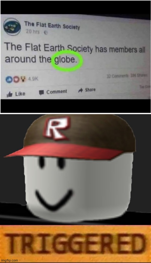 Seriously.... | image tagged in roblox triggered | made w/ Imgflip meme maker