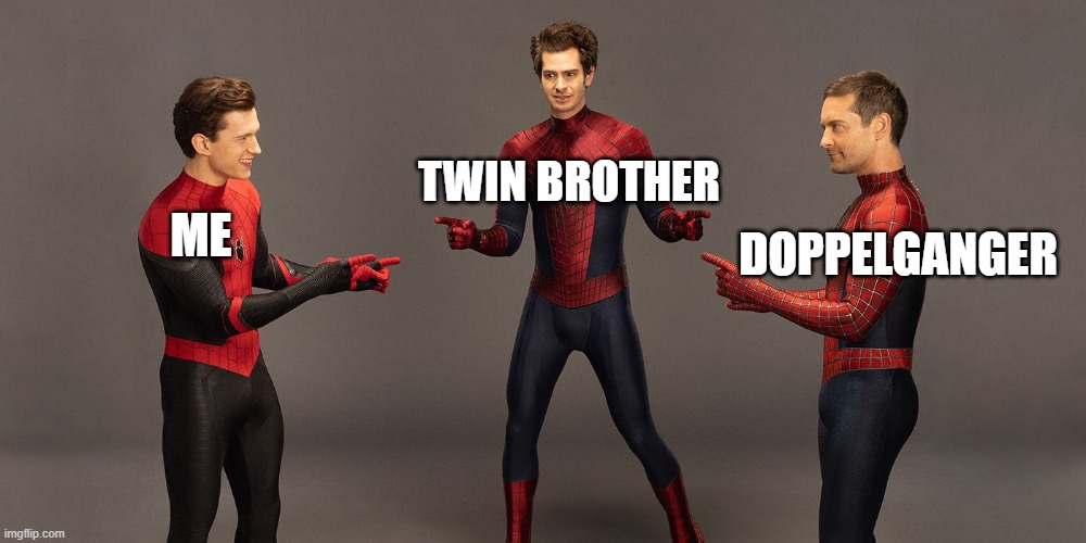 Me meets Doppelganger meets my twin brother | TWIN BROTHER; DOPPELGANGER; ME | image tagged in spider men pointing nwh | made w/ Imgflip meme maker