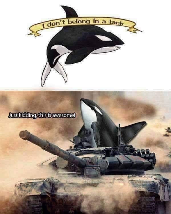 High Quality Orca I don’t belong in a tank Blank Meme Template