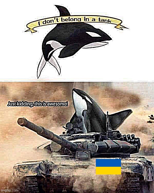 Orca I don’t belong in a tank | image tagged in orca i don t belong in a tank | made w/ Imgflip meme maker