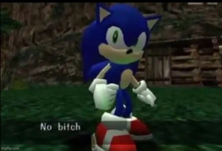 No bitch | image tagged in no bitch | made w/ Imgflip meme maker