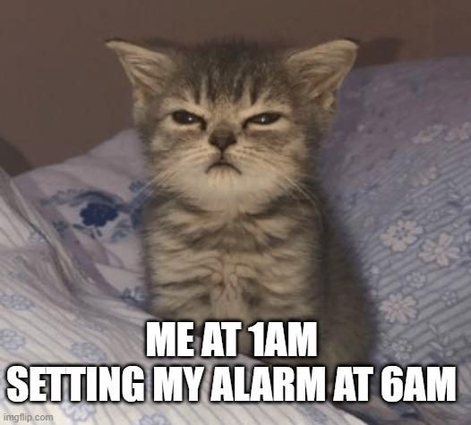 wake up cat | ME AT 1AM SETTING MY ALARM AT 6AM | image tagged in wake up cat | made w/ Imgflip meme maker