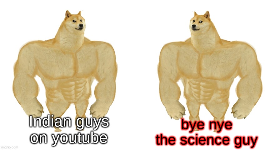 Strong Doge vs Stronge Doge | bye nye the science guy; Indian guys on youtube | image tagged in strong doge vs stronge doge | made w/ Imgflip meme maker