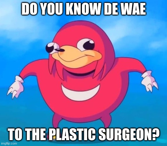 Do you really know de wae? | DO YOU KNOW DE WAE; TO THE PLASTIC SURGEON? | image tagged in ugandan knuckles | made w/ Imgflip meme maker