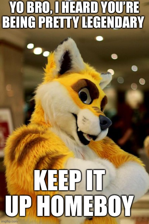 Keep it up superstar | YO BRO, I HEARD YOU’RE BEING PRETTY LEGENDARY; KEEP IT UP HOMEBOY | image tagged in furry,wholesome | made w/ Imgflip meme maker