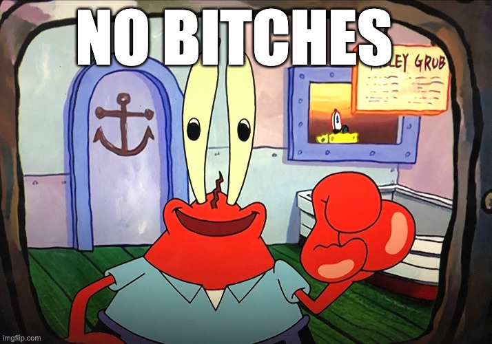 NO BITCHES | NO BITCHES | image tagged in mr krabs,mr krabs pointing meme,mr krabs money | made w/ Imgflip meme maker