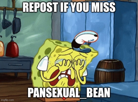 she hasn't been online for a while | REPOST IF YOU MISS; PANSEXUAL_BEAN | image tagged in repost,spongebob | made w/ Imgflip meme maker