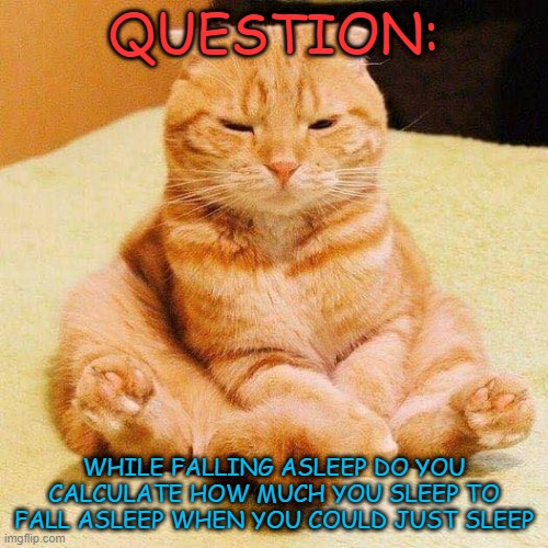 hmmm | QUESTION:; WHILE FALLING ASLEEP DO YOU CALCULATE HOW MUCH YOU SLEEP TO FALL ASLEEP WHEN YOU COULD JUST SLEEP | image tagged in chonky cat,memes,msmg,funny | made w/ Imgflip meme maker